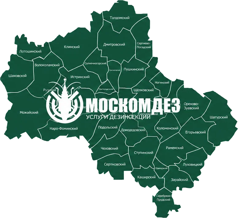 Карта выезда: Котельники и Московская область